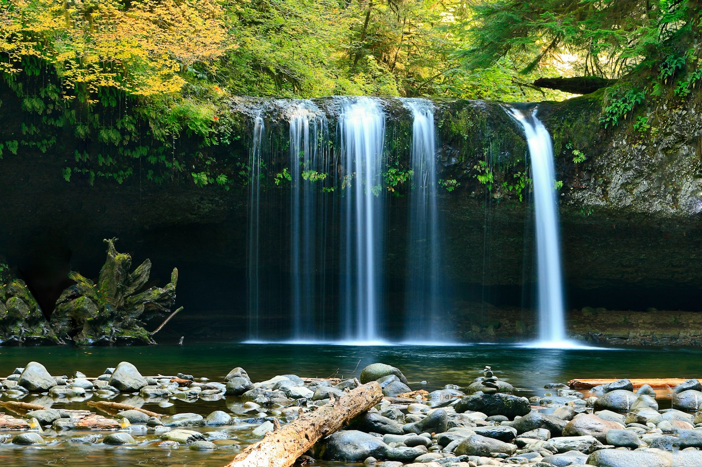 Still water and green leaves